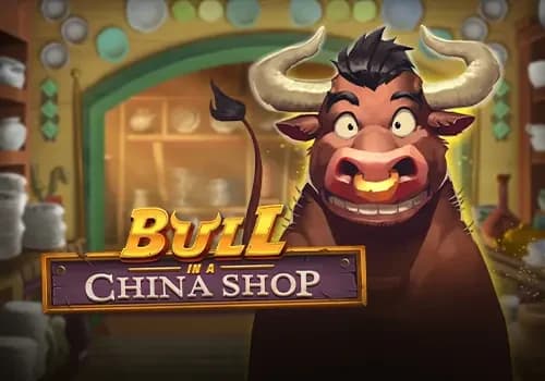 Bull in a China Shop Cover
